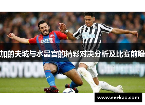 加的夫城与水晶宫的精彩对决分析及比赛前瞻
