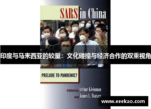 印度与马来西亚的较量：文化碰撞与经济合作的双重视角