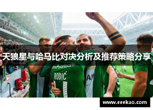 天狼星与哈马比对决分析及推荐策略分享