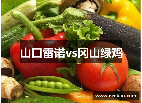 山口雷诺vs冈山绿鸡