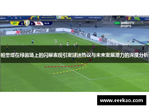 帕奎塔在绿茵场上的闪耀表现引发球迷热议与未来发展潜力的深度分析