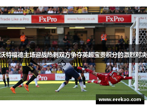 沃特福德主场迎战热刺双方争夺英超宝贵积分的激烈对决