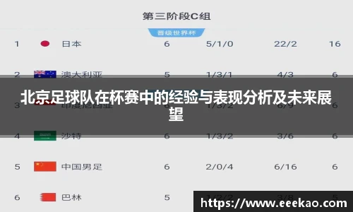 北京足球队在杯赛中的经验与表现分析及未来展望